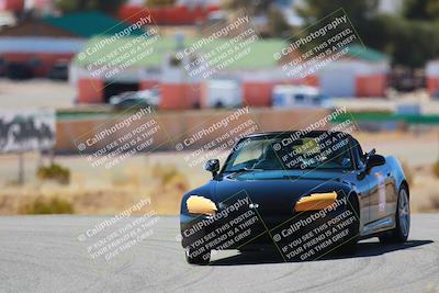media/Mar-08-2025-Extreme Speed (Sat) [[4abb97269e]]/Purple/Turns 2  and  4 (Session 2)/